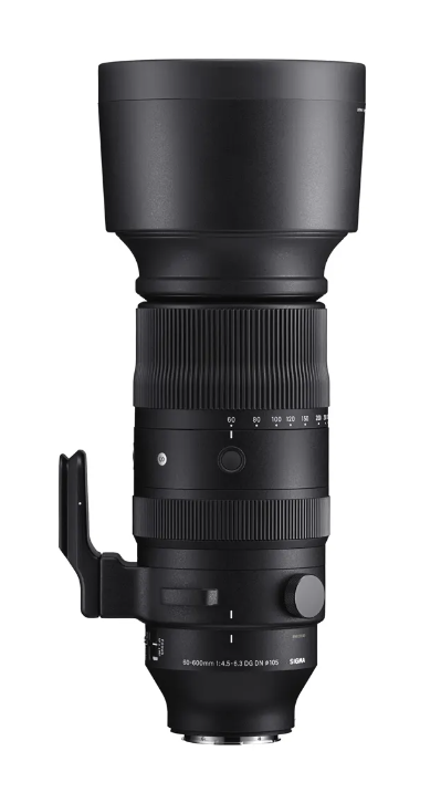 Sigma DG DN OS 60-600mm F/4.5-6.3