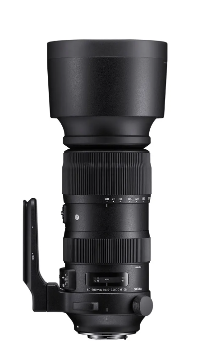 Sigma DG OS HSM 60-600mm F/4.5-6.3