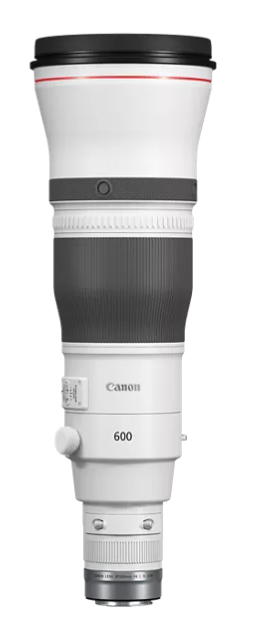 Canon RF 600mm F/4 L IS USM