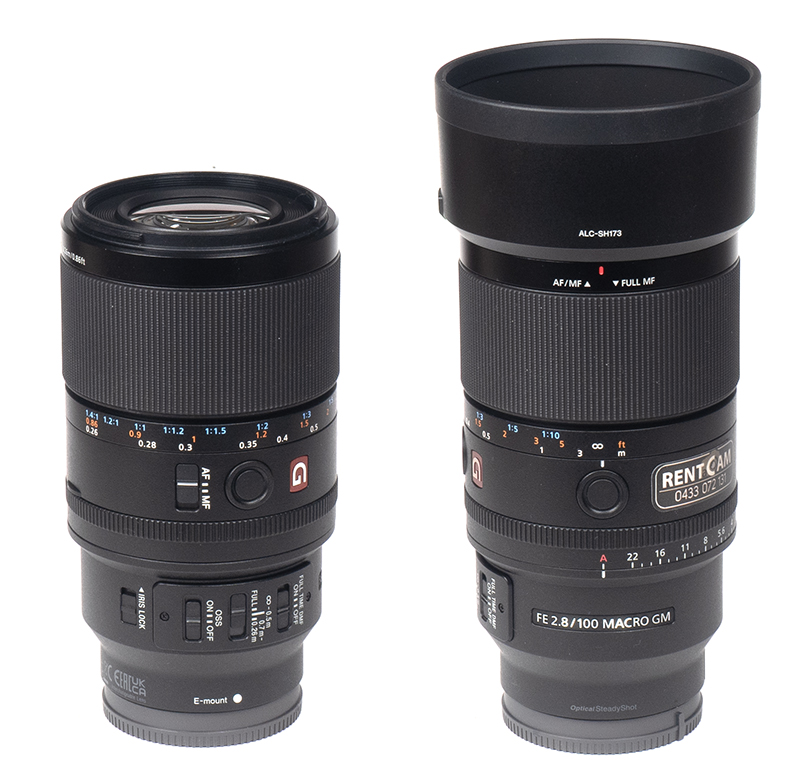 Sony FE 100mm F/2.8 Macro GM OSS