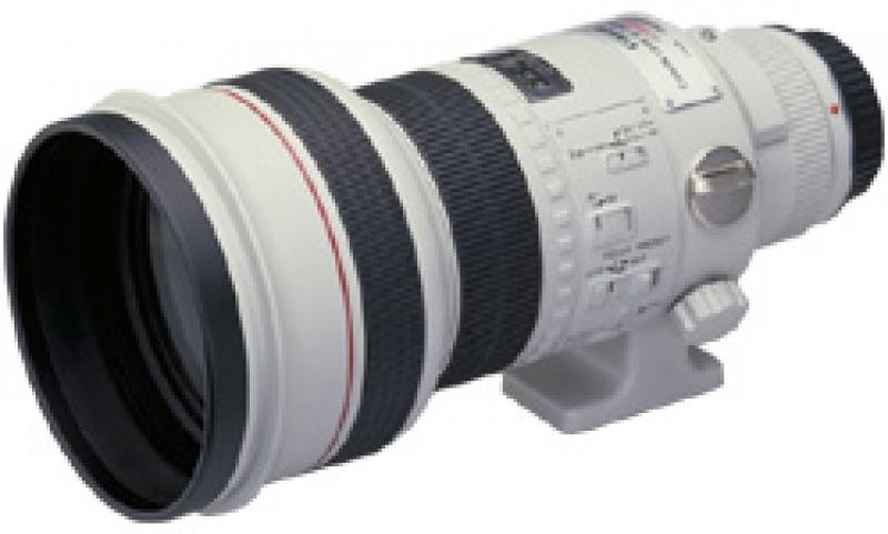Canon EF 300mm F/2.8 L USM