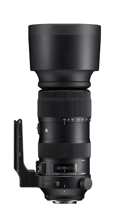 Sigma DG OS HSM 60-600mm F/4.5-6.3