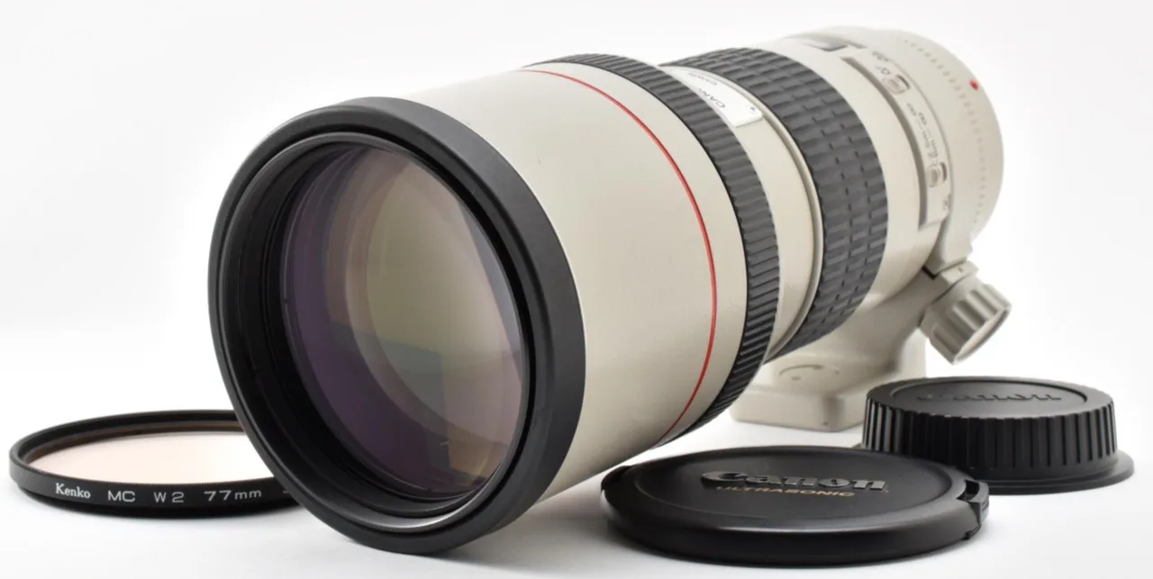 Canon EF 300mm F/4L USM