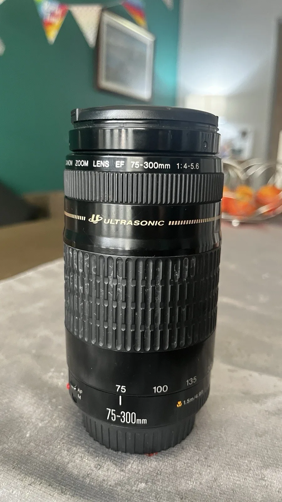 Canon EF 75-300mm F/4-5.6