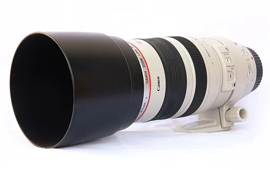 Canon EF 100-400mm F/4.5-5.6 L IS USM