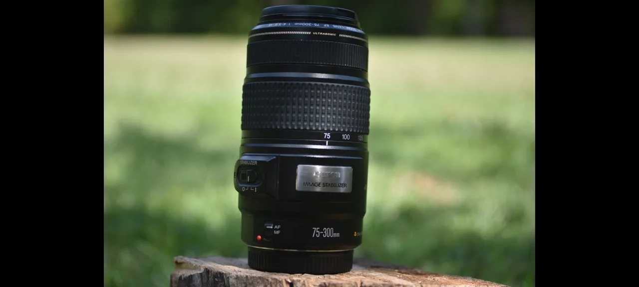 Canon EF 75-300mm F/4-5.6 USM