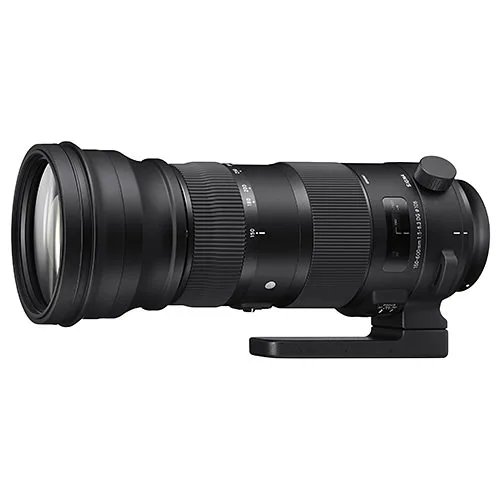 Sigma 150-600mm F/5-6.3 DG OS HSM Sport