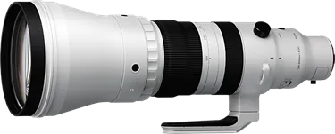 Sigma 300-600mm F/4 DG OS Sports