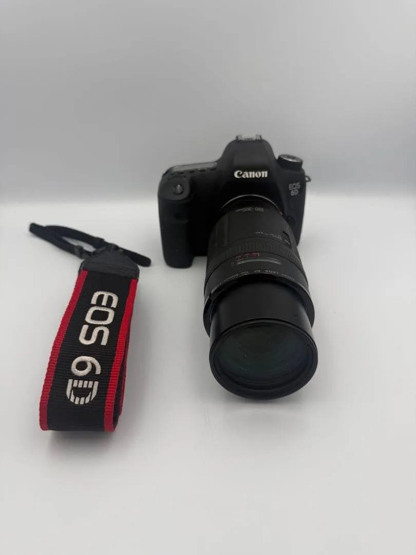 Canon EF 100-300mm F/5.6