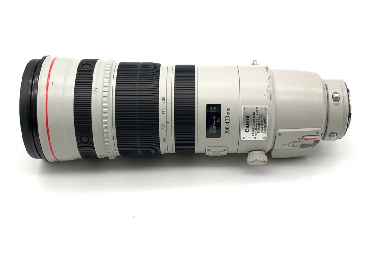 Canon EF 200-400mm F/4L IS USM Extender 1.4X