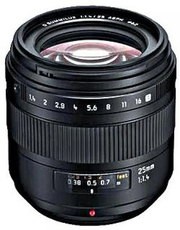 Leica D Summilux 25mm F/1.4 ASPH