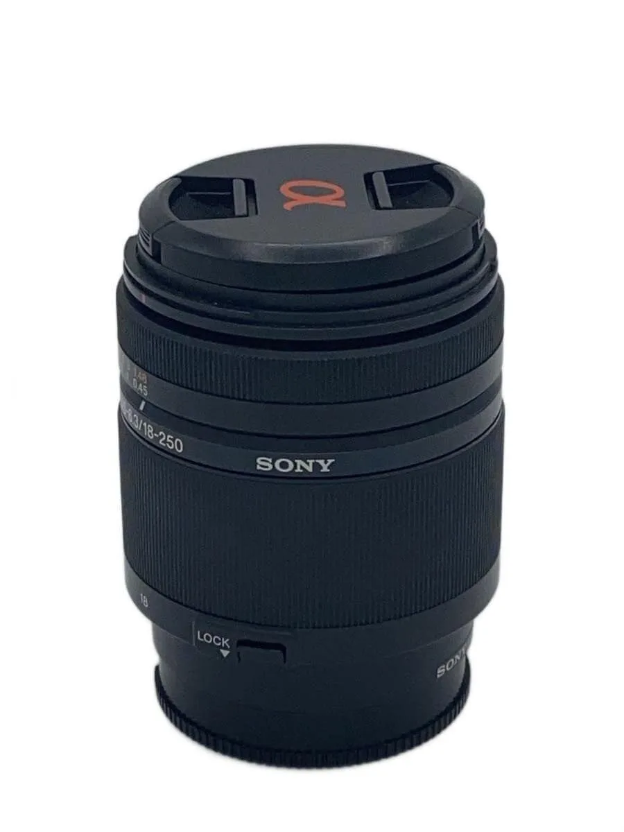 Sony DT 18-250mm F/3.5-6.3 SAL18250